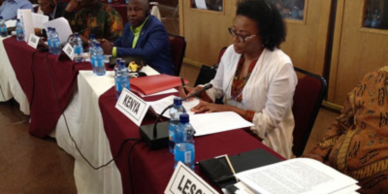 Ambassador Catherine Muigai Mwangi Participates at the Joint Permanent Representative Committee and African Union Commission Retreat in Hawassa