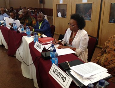 Ambassador Catherine Muigai Mwangi Participates at the Joint Permanent Representative Committee and African Union Commission Retreat in Hawassa