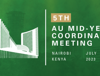 Event: AU Reform is needed to guide Stable Political Transitions in Africa