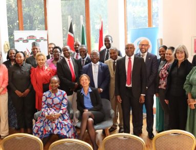 AMHEWAS Generates Overwhelming Support from the Diplomatic Community and Development Partners